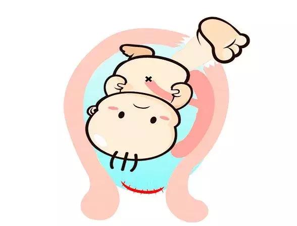 孕囊算不算一條生命，深度解析胚胎早期發(fā)育的奧秘，孕囊與胚胎早期發(fā)育，深度解析一條生命的誕生奧秘