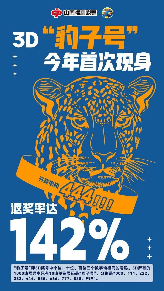 王中王金錢豹一肖中特，揭秘背后的神秘故事與SEO奧秘，揭秘王中王金錢豹背后的神秘故事與SEO奧秘