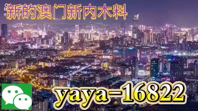 今晚澳門買什么最好？探索最佳選擇與策略，澳門今晚最佳選擇與策略探索指南
