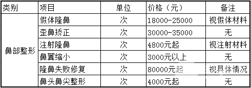 鼻子美容手術(shù)費(fèi)用詳解，多少錢？，鼻子美容手術(shù)費(fèi)用全面解析，手術(shù)費(fèi)用究竟是多少？