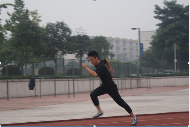 YN蕩校園運動會精彩瞬間，運動之筆記錄輝煌，YN蕩校園運動會輝煌瞬間，運動之筆描繪精彩篇章