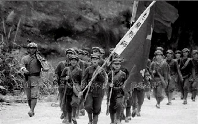 關(guān)于肖碼的探討，一種獨特的數(shù)字文化現(xiàn)象，肖碼，獨特的數(shù)字文化現(xiàn)象探討