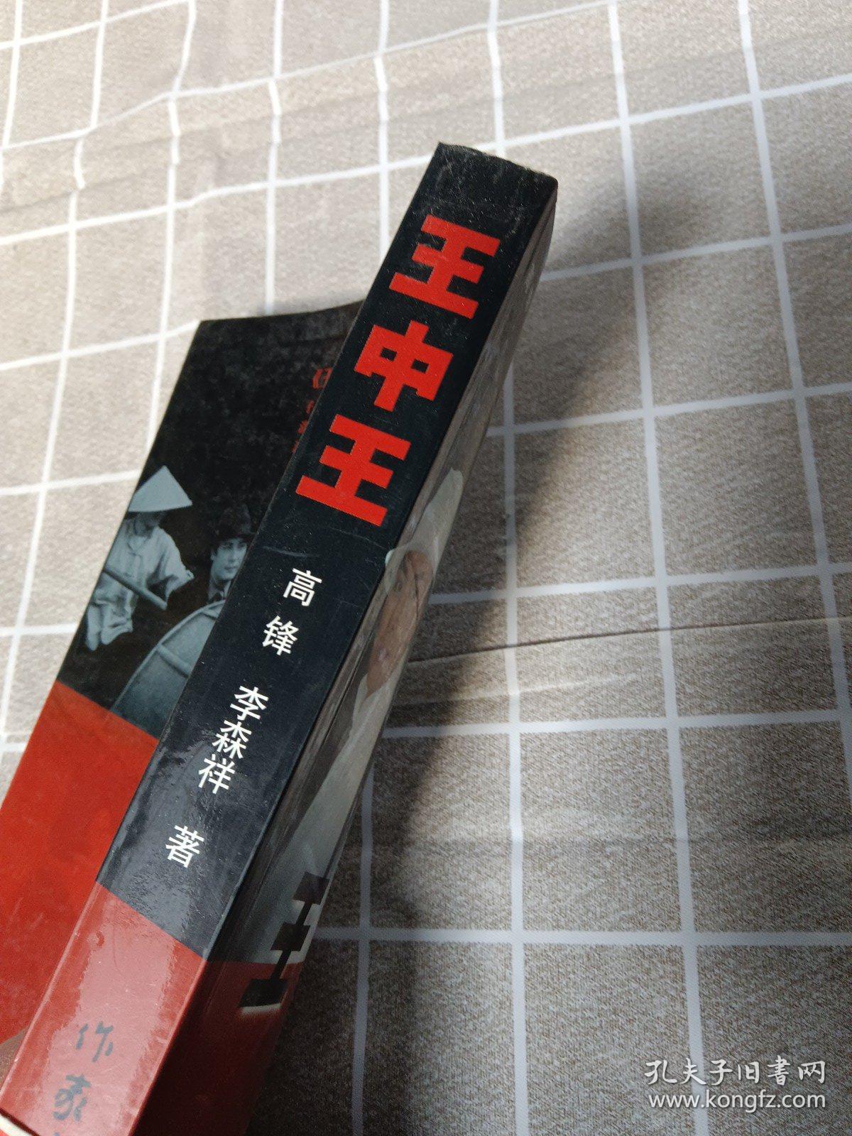 王中王資料一肖中官家，深度解析與探索，王中王資料揭秘，一肖中官家的深度解析與探索