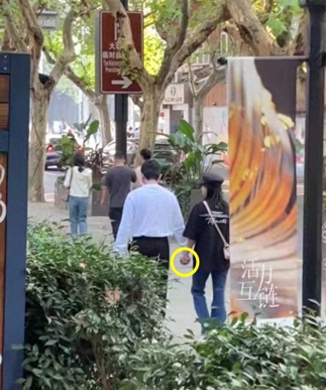 鮑蕾個人資料圖片，深度解析與探索，鮑蕾個人資料圖片，深度探究與揭秘