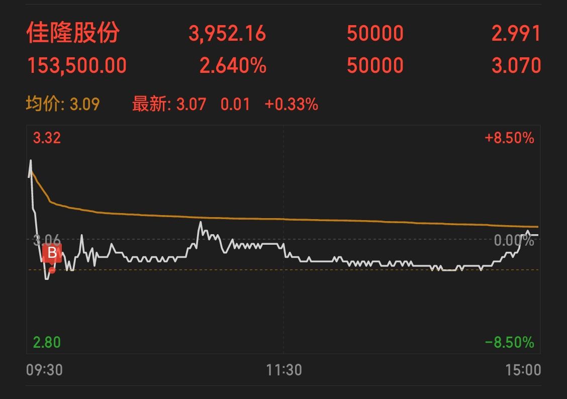 佳隆股份，引領(lǐng)行業(yè)前沿，展現(xiàn)企業(yè)卓越實(shí)力，佳隆股份，行業(yè)先鋒，卓越實(shí)力展現(xiàn)