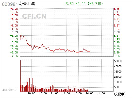 揭秘數(shù)字背后的故事，探索600981的神秘面紗，揭秘數(shù)字之謎，探尋600981的神秘面紗