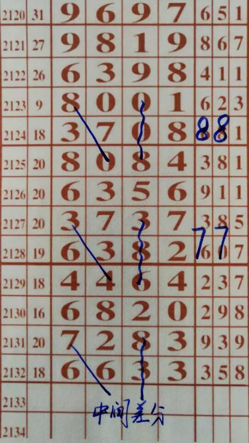 王中王六肖一碼期期中的奧秘與探索，王中王六肖一碼期奧秘揭秘與探索