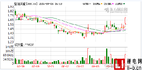 深入解析堅瑞沃能股吧——探尋其背后的潛力與價值，深入解析堅瑞沃能股吧，探尋潛力與價值展望
